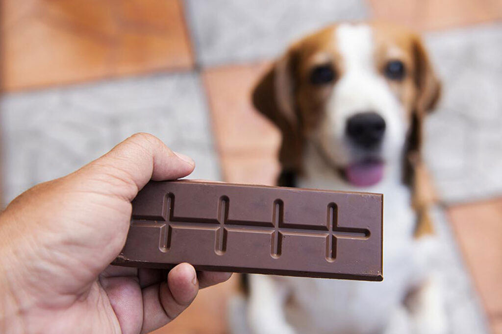 Πώς να ξεπεράσετε την επιθυμία για σοκολάτα – 8kb.es